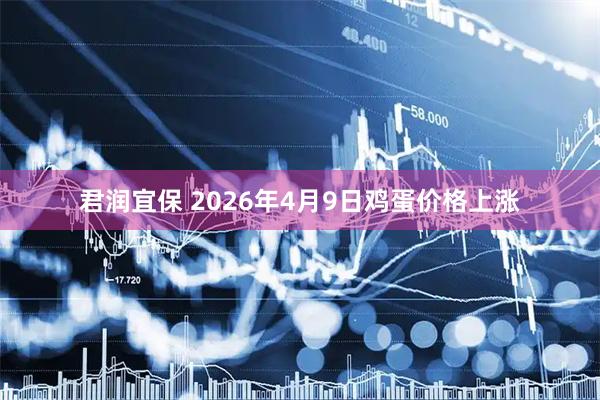 君润宜保 2026年4月9日鸡蛋价格上涨